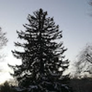 Meet your Posher, Philippe